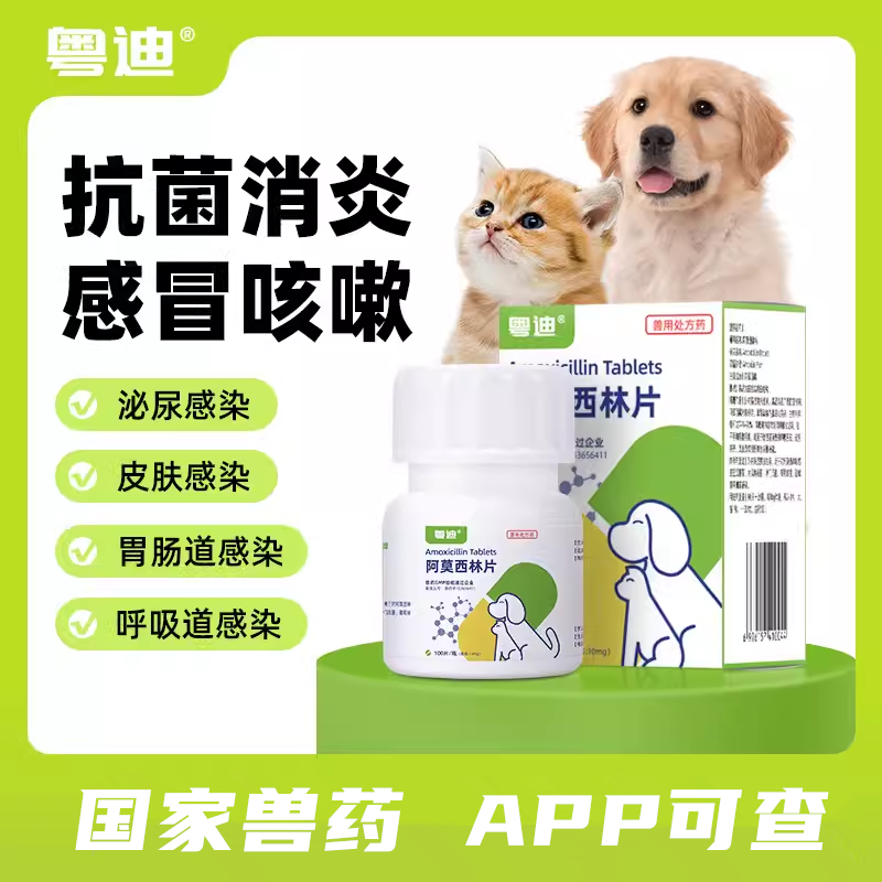 阿莫西林片消炎药皮肤病尿路感染