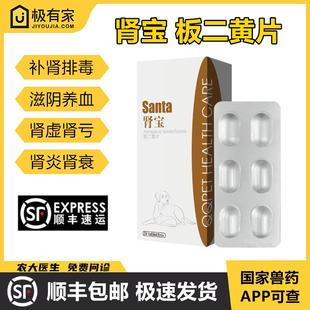 球球肾宝板二黄片胺肾活肾急慢性肾病肾衰竭肾炎膀胱炎宠物肾衰竭