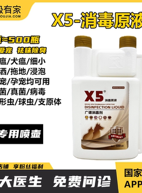X5消毒原液宠物弓形球虫细菌真菌