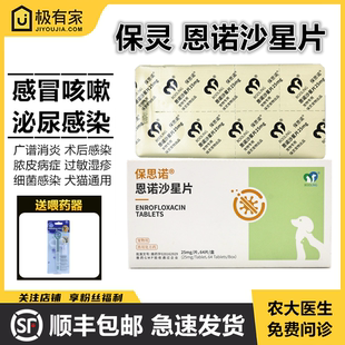 宠物恩诺沙星片消炎药猫狗皮肤病细菌脓皮症感冒咳嗽尿路感澳诺欣
