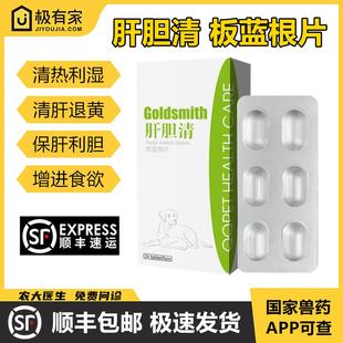球球肝胆清板蓝根片脂肪肝宠物胰腺炎保肝护胆黄疸腹水肝炎保肝药