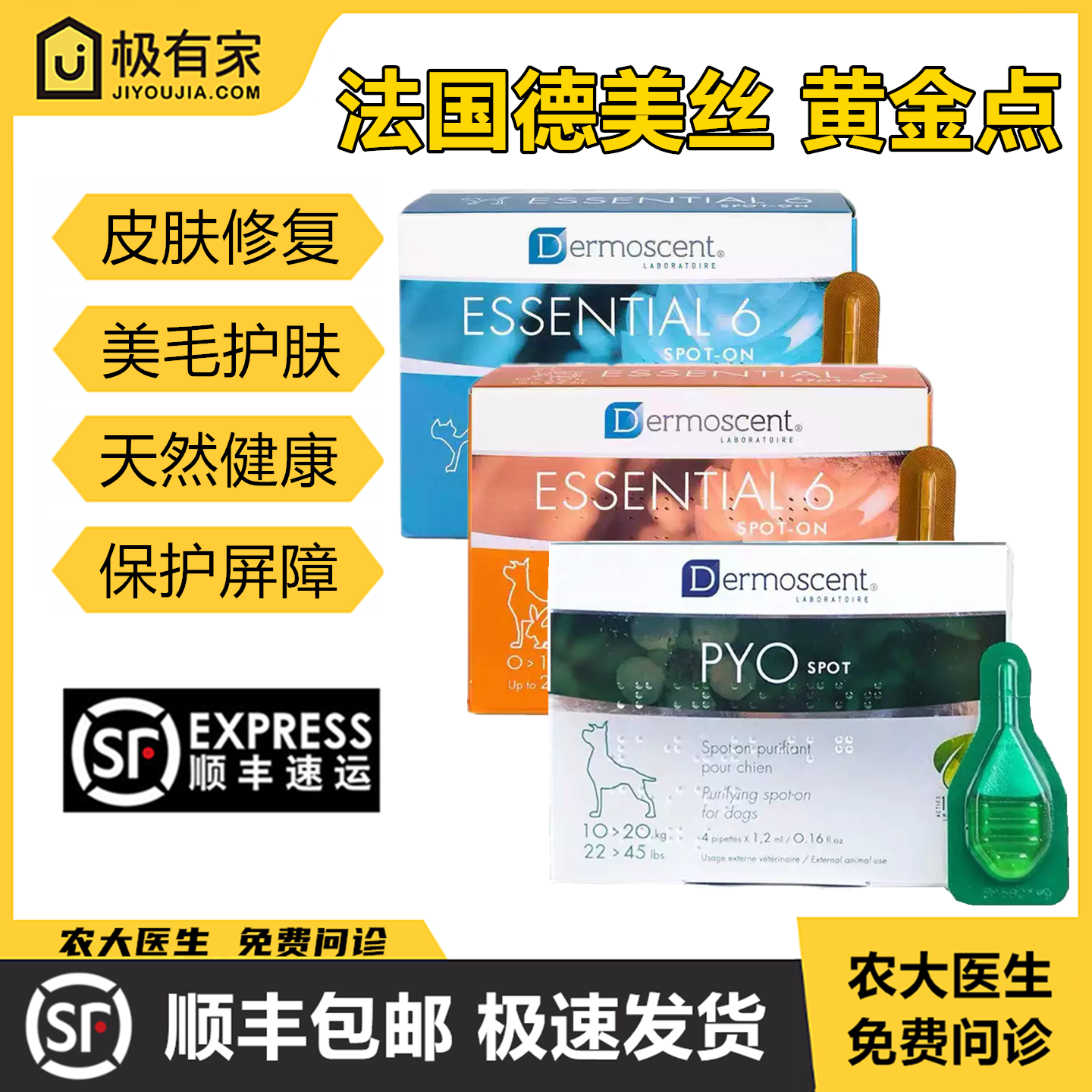 法国进口德美丝黄金点猫派奥点狗