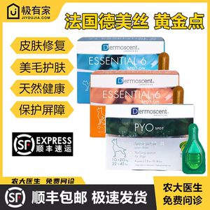法国进口德美丝黄金点猫派奥点狗