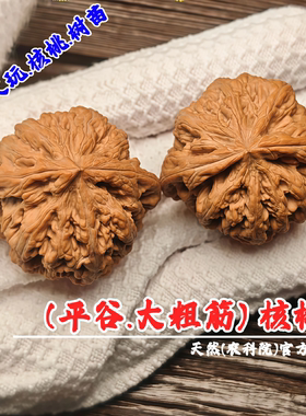 平谷大粗筋文玩核桃树苗八筋聚鼎狮子头麻核桃苗元宝龟甲盆栽地栽