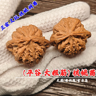 平谷大粗筋文玩核桃树苗八筋聚鼎狮子头麻核桃苗元宝龟甲盆栽地栽