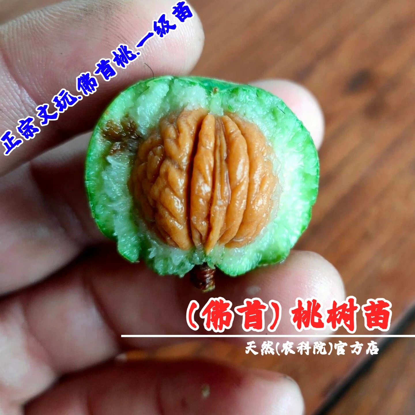 野生文玩佛首桃苗盆栽山桃胡树佛头蚂蚁纹脑纹桃核树苗南北方种植