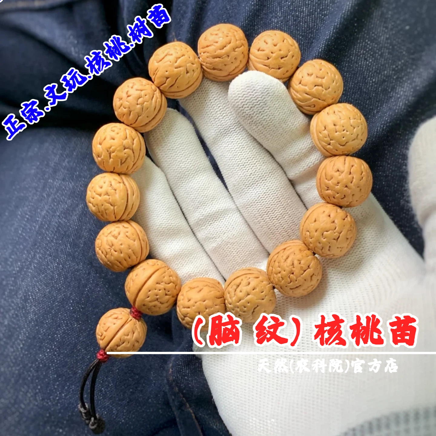 野生文玩脑纹桃核树苗盆栽手串柳叶脐龙纹小桃胡桃苗南方北方种植