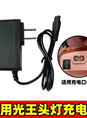 适用东祁光王头灯双孔充电器线E9 338 228 K95K461强光手电筒圆孔