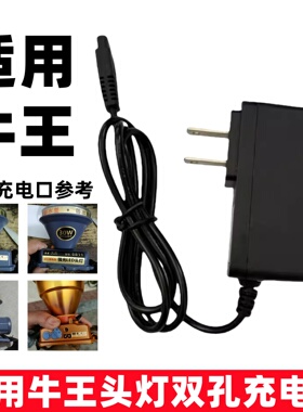 适用牛王头灯手电筒充电器信太手提灯A2A5A8A9A11A15A10车载USB线