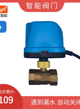 接入米家电动智能二通球阀电动水阀开关DN15太阳燃气热水智能切换