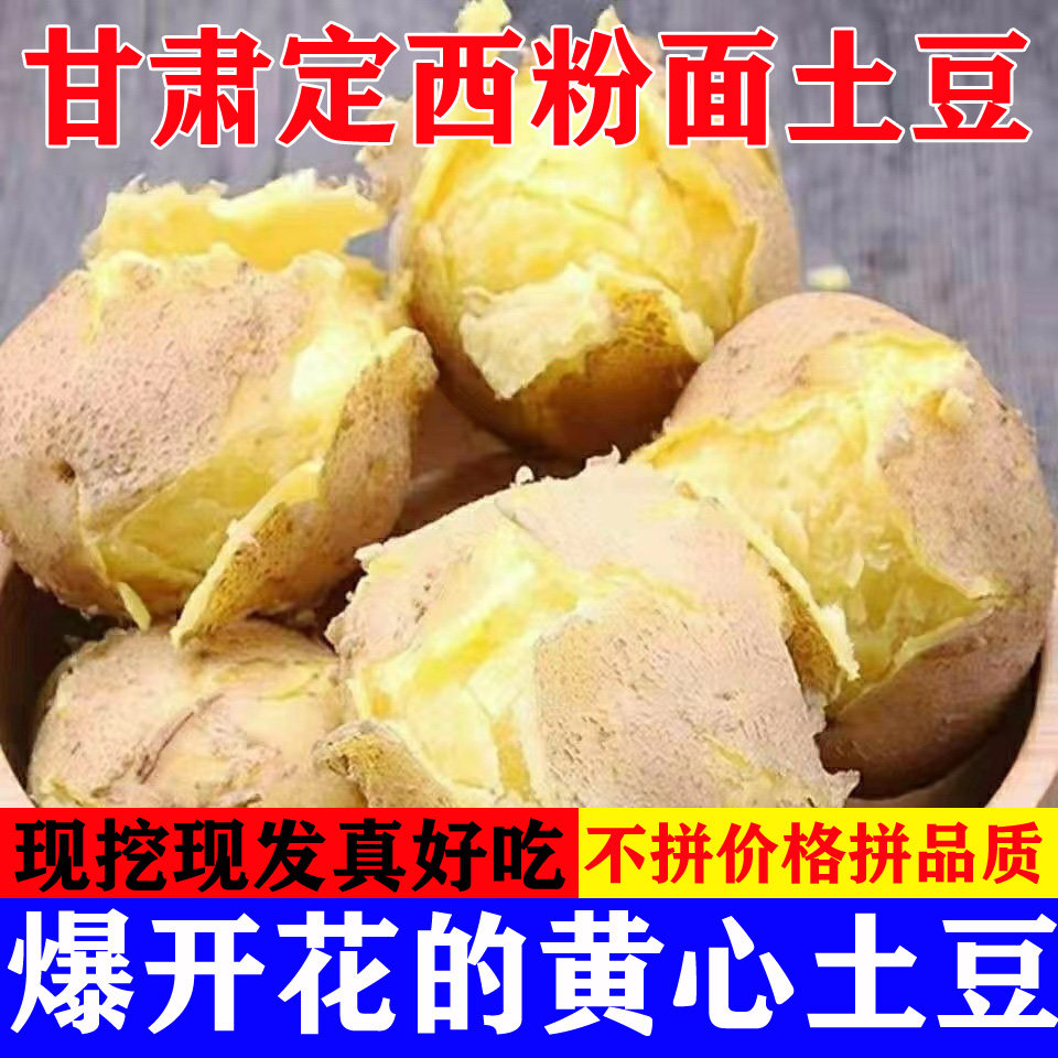 甘肃定西土豆2026现挖新鲜沙土豆