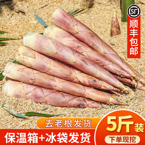 小笋新鲜现挖高山雷竹笋