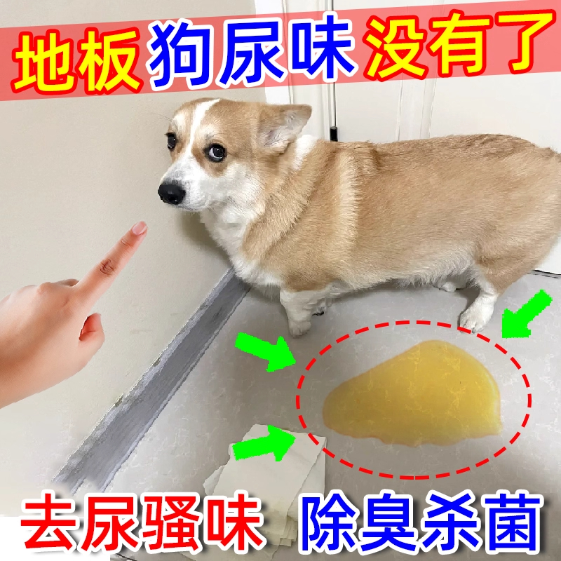 宠物地板清洁剂猫狗尿渍除味家用拖地宠物消毒液友好地板清洁剂