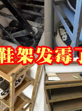 去霉斑霉菌清洁剂家用高效清除木材鞋架鞋柜衣柜墙体发霉除霉剂
