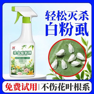 白飞虱花盆景专用长虫子里的去小白虫净杀虫剂蚜虫烟粉虱棉花虫药