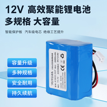 12V锂电池组特美声索爱广场舞音响18650大容量LED灯11.1V音箱7.4V