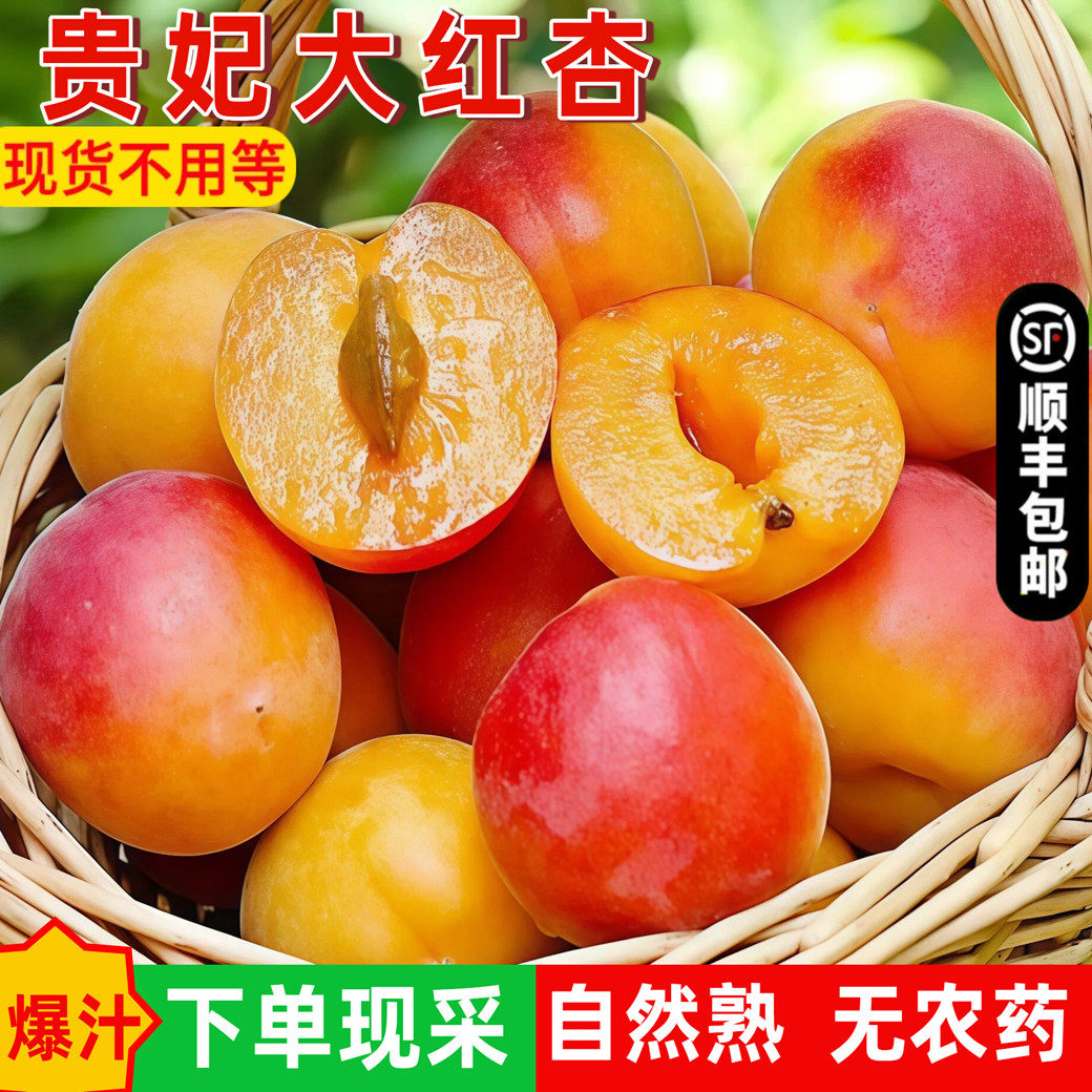 现摘陕西贵妃大红杏酸甜头茬胭脂黄杏子新鲜应季孕妇水果顺丰包邮