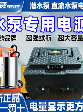 水泵专用电池12v24V直流潜水泵超威电瓶电动抽水机家用浇菜抽水泵