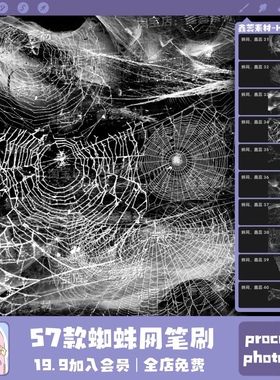 procreate笔刷ps笔刷蜘蛛网蛛丝灰尘风景绘画点缀笔刷