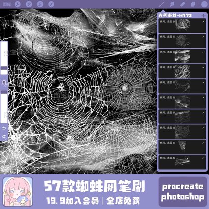 procreate笔刷ps笔刷蜘蛛网蛛丝灰尘风景绘画点缀笔刷