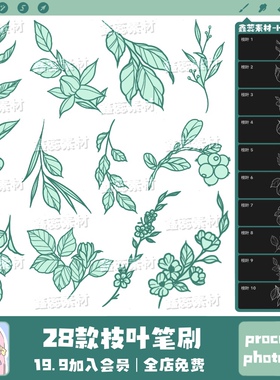 procreate笔刷ps笔刷树枝叶子树叶枝叶植物线稿辅助线素材笔刷