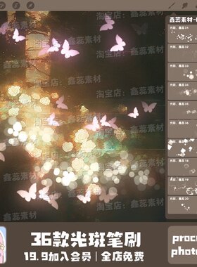procreate笔刷ps笔刷光斑光点氛围装饰发光风景点缀环境笔刷