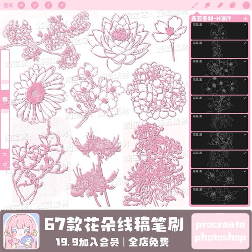花朵线稿procreate笔刷ps笔刷花朵线稿牡丹花樱花植物图案笔刷