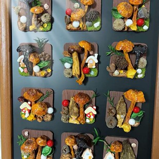 云南蘑菇菌真植物diy森系冰箱帖标本伴手礼家居墙面装饰品