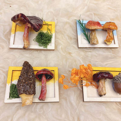 新款 云南大理苍山真菌蘑菇冰箱贴手工创意果实森林礼物