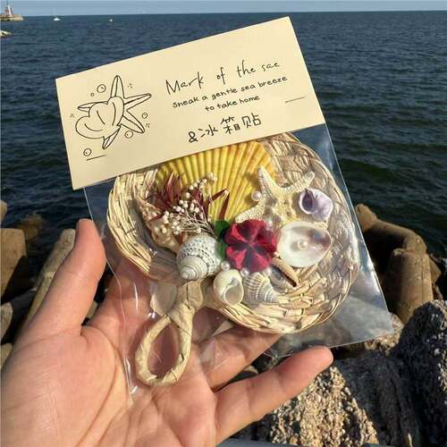 新款 海洋贝壳海螺冰箱贴磁贴创意装饰品工艺品摆件儿童礼品