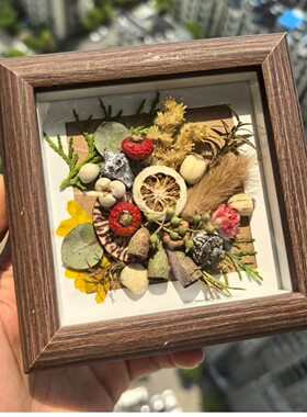 标本干花装饰画相框复古迷你小摆件样板间软装饰品客厅创意摆件