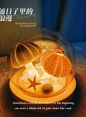 海胆壳DIY小夜灯七夕节创意礼物贝壳发光摆件 生日送女友首选