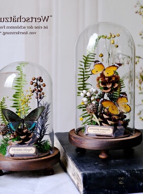 新款外贸透玻璃罩蝴蝶植物标本干花摆件昆虫家居花陈列礼物微景观