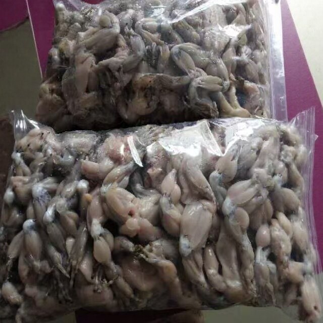 【顺丰现货】农村常见的活体治病贝类制品