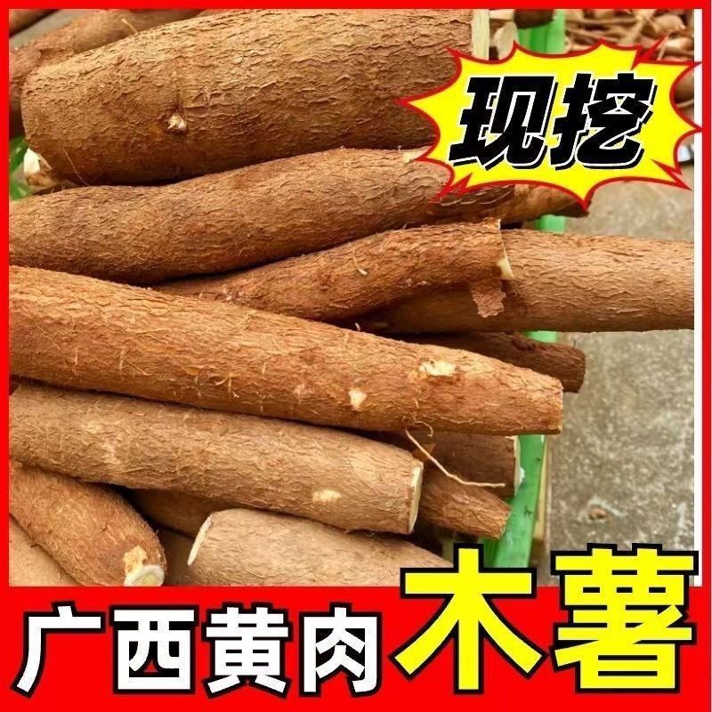 新鲜现挖广西黄心木薯黄肉木薯面包粉糯华南9号木薯糖水店同款