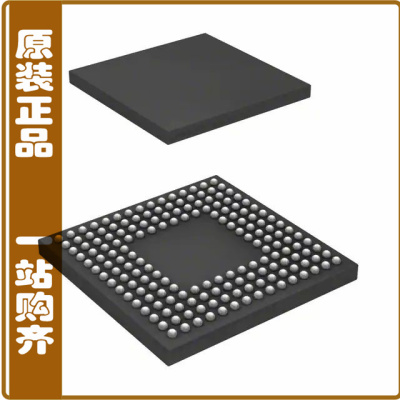 AT91M55800A-33CJ-999【IC MCU 16/32BIT ROMLESS 176BGA】