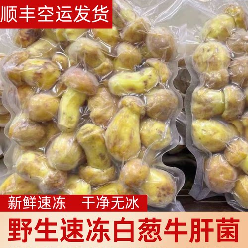 云南新鲜野生速冻白葱牛肝菌见手青食用野生 菌磨菇食材批发