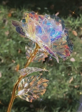 阳光捕手七彩炫光玫瑰花~变幻金箔星空玫瑰花浪漫永恒教师节礼物