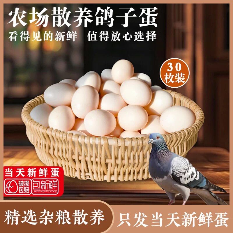 精选新鲜鸽子蛋 30 枚620克孕妇宝宝辅食杂粮散养白鸽蛋礼盒包邮