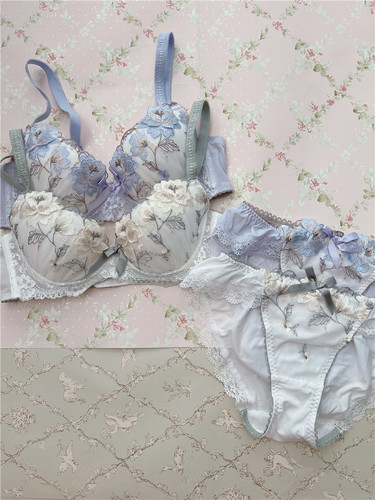 R家女士性感聚拢内衣文胸