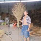 竹扫把竹枝户外环卫物业工厂工地扫大街马路家用扫院子落叶