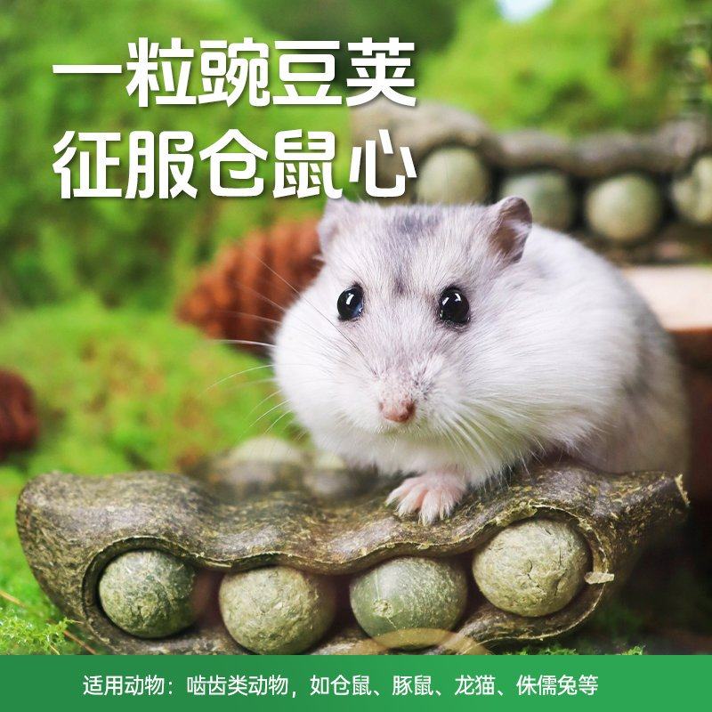 Teewy豌豆荚仓鼠零食磨牙棒金丝熊营养粮食造景用品磨牙球玩具,宠物/宠物食品及用品,鼠类零食,淘宝优惠券,粉丝福利购,淘宝优惠卷