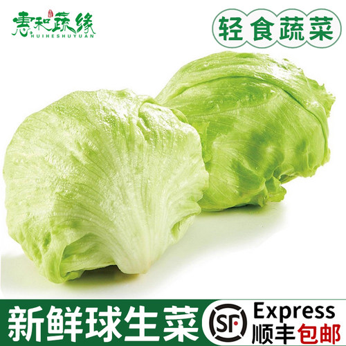 新鲜球生菜圆生菜西生菜汉堡包生菜5斤西餐轻食生吃沙拉蔬菜食材