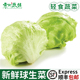 新鲜球生菜圆生菜西生菜汉堡包生菜5斤西餐轻食生吃沙拉蔬菜食材