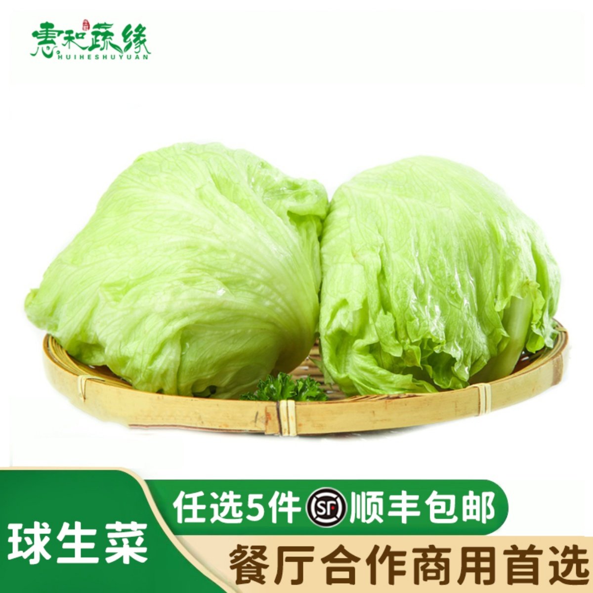 西生菜新鲜蔬菜圆生菜球包菜西餐汉堡包蔬菜沙拉菜球生菜新鲜500g