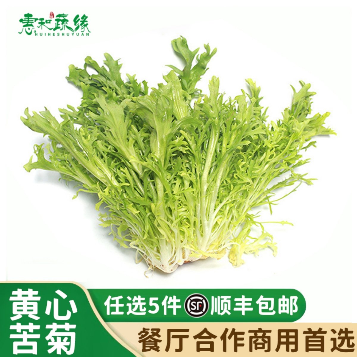 新鲜蔬菜苦菊蔬菜沙拉西餐低脂食材健身轻食蔬菜沙拉250g黄心苦菊