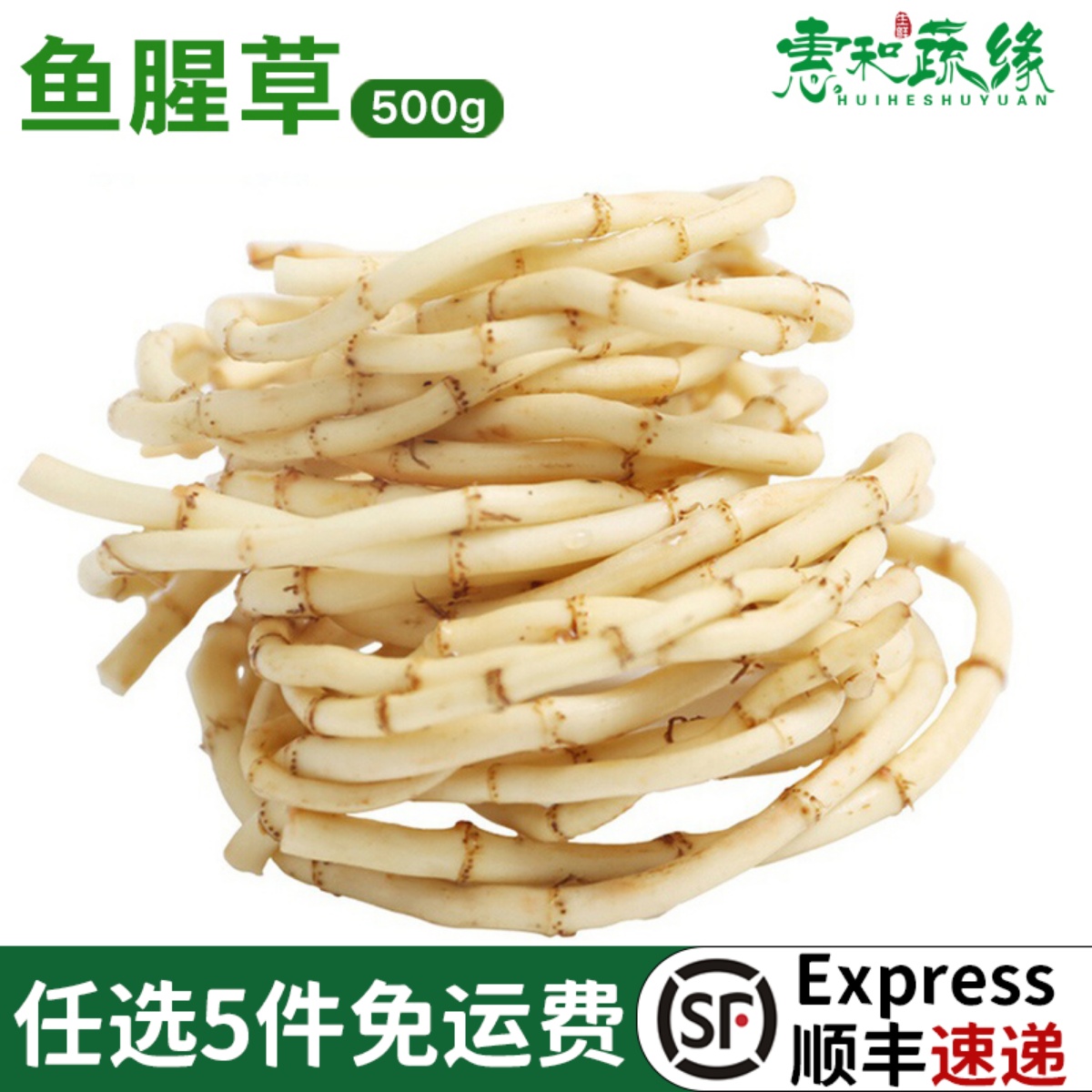 鱼腥草新鲜折耳根凉拌