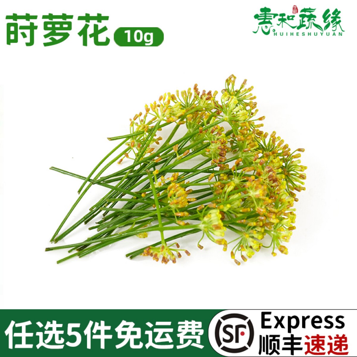 小莳萝新鲜摆盘装饰花草食用鲜花