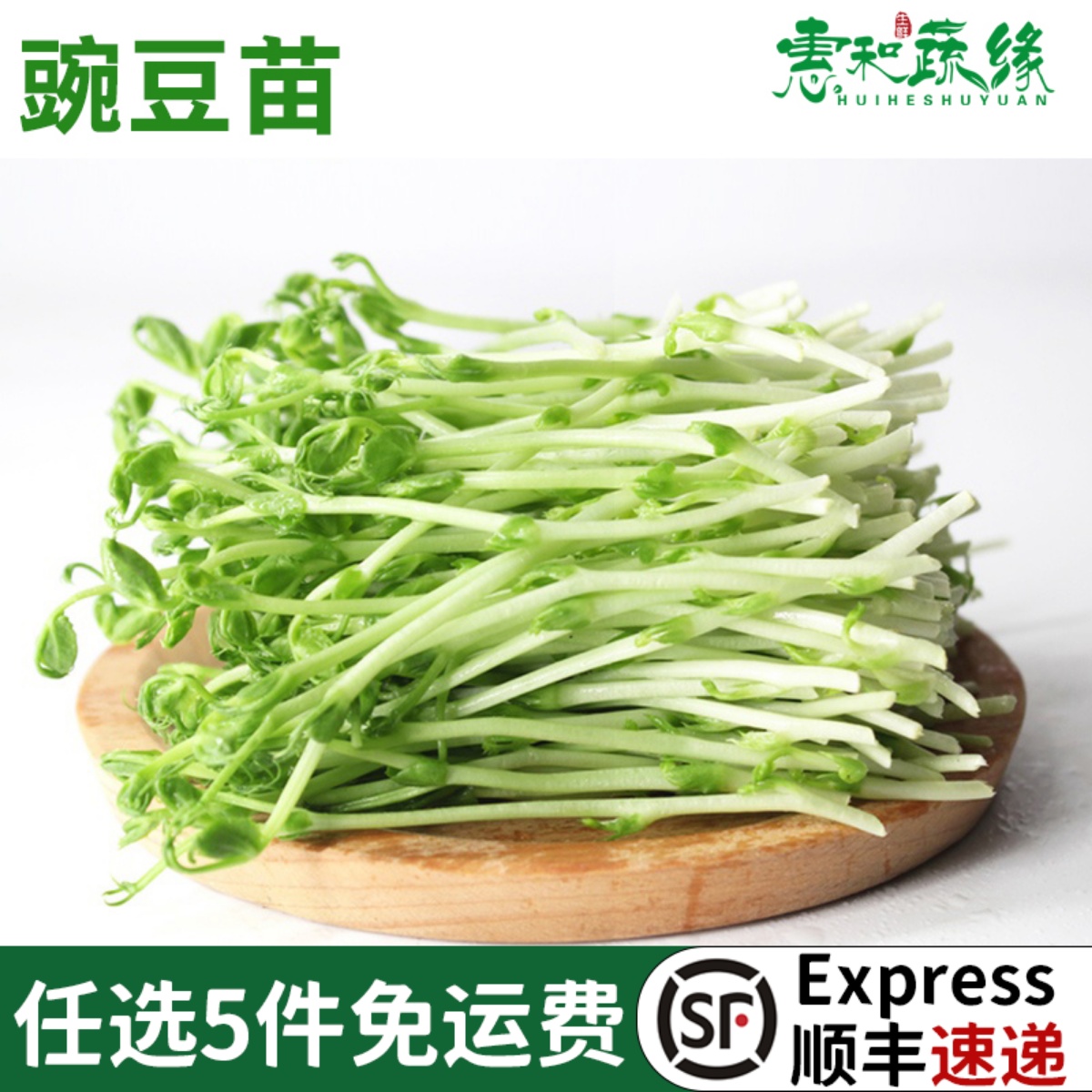 新鲜蔬菜豌豆苗碗豆尖绿色500g