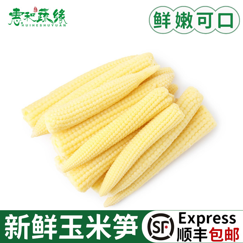 新鲜玉米笋玉米芯玉米仔迷你小玉米芯仔蔬菜嫩玉米棒子水果玉米